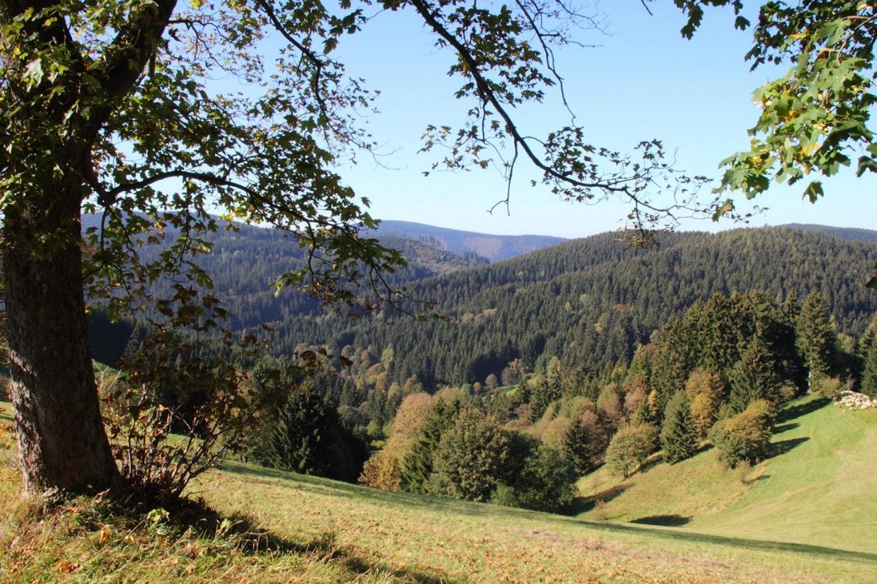 Harzhuisje - Sankt Andreasberg Exterior photo